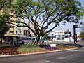 1660_geocities_ws_pantanal