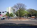 1665_geocities_ws_pantanal