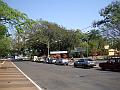 1671_geocities_ws_pantanal