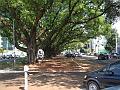 1692_geocities_ws_pantanal