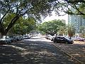 1698_geocities_ws_pantanal