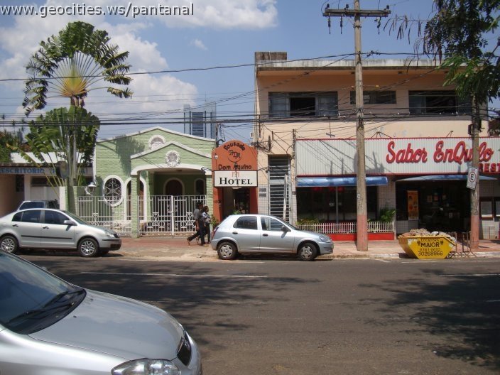 1722_geocities_ws_pantanal.jpg