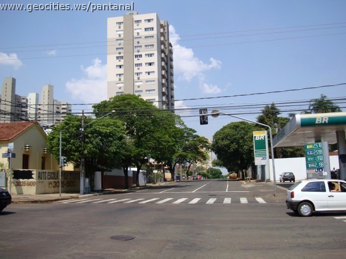 1726_geocities_ws_pantanal.jpg