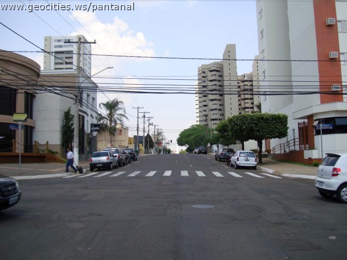 1730_geocities_ws_pantanal.jpg