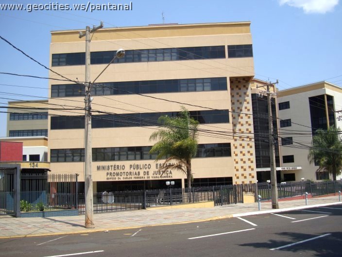 1745_geocities_ws_pantanal.jpg