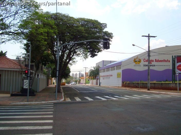 1749_geocities_ws_pantanal.jpg