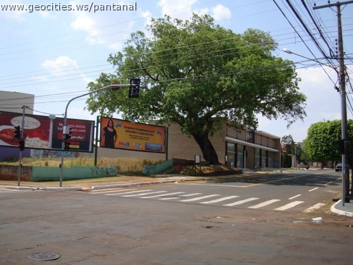 1750_geocities_ws_pantanal.jpg