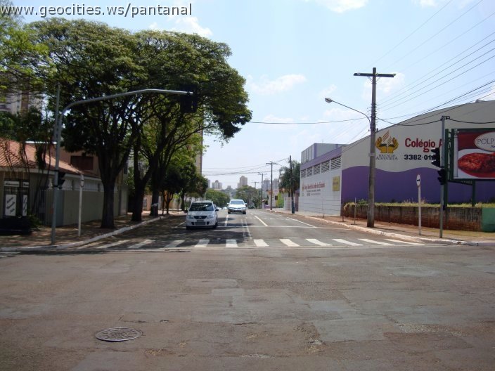 1751_geocities_ws_pantanal.jpg