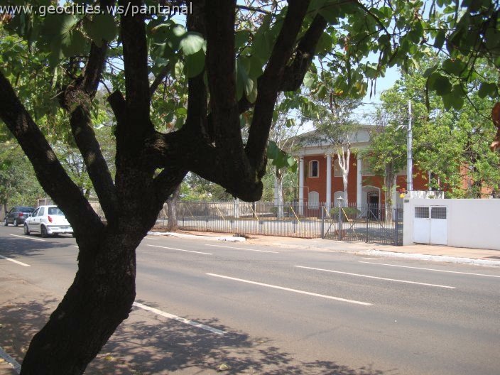 1754_geocities_ws_pantanal.jpg