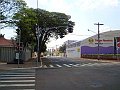 1749_geocities_ws_pantanal