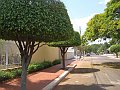 1758_geocities_ws_pantanal