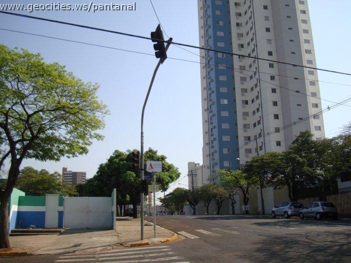 1767_geocities_ws_pantanal.jpg