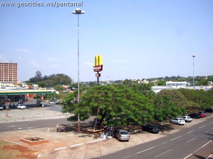 1885_geocities_ws_pantanal.jpg