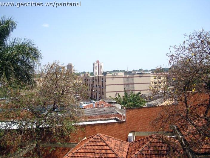 1887_geocities_ws_pantanal.jpg
