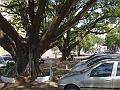 1811_geocities_ws_pantanal
