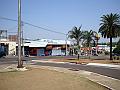 1849_geocities_ws_pantanal