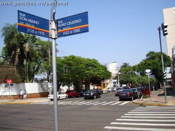 1950_geocities_ws_pantanal.jpg
