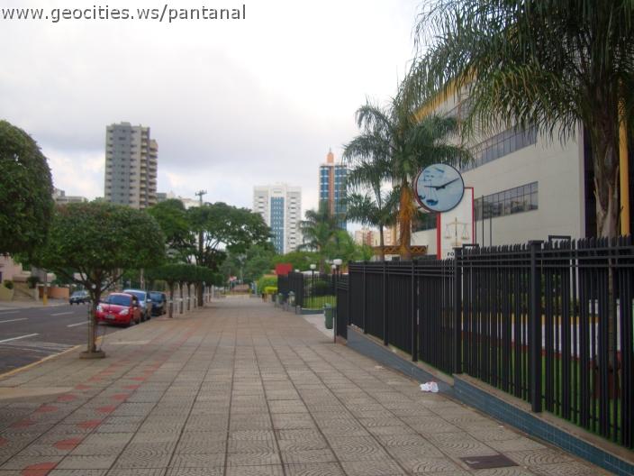1988_geocities_ws_pantanal.jpg