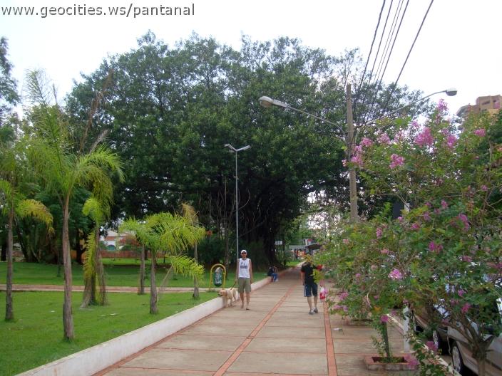2048_geocities_ws_pantanal.jpg
