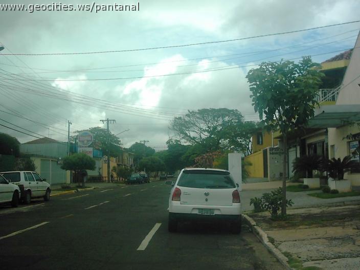 2068_geocities_ws_pantanal.jpg