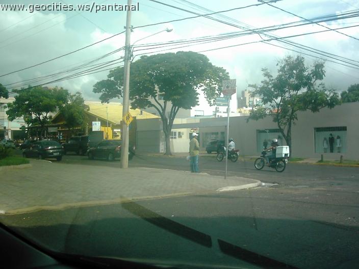 2079_geocities_ws_pantanal.jpg