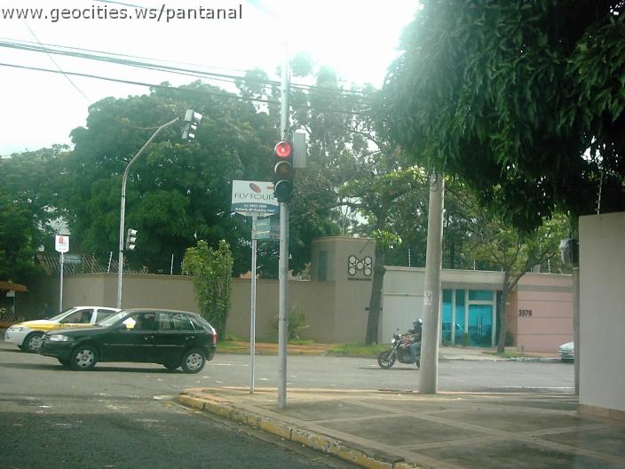 2080_geocities_ws_pantanal.jpg