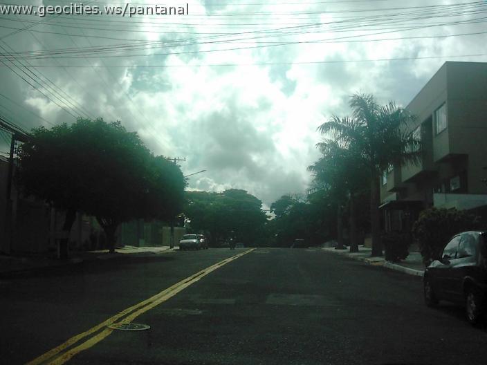 2090_geocities_ws_pantanal.jpg