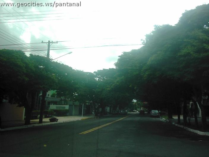 2092_geocities_ws_pantanal.jpg