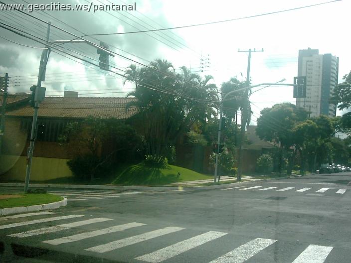 2095_geocities_ws_pantanal.jpg