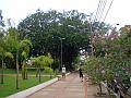 2048_geocities_ws_pantanal