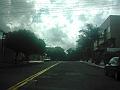 2090_geocities_ws_pantanal