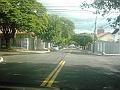 2097_geocities_ws_pantanal