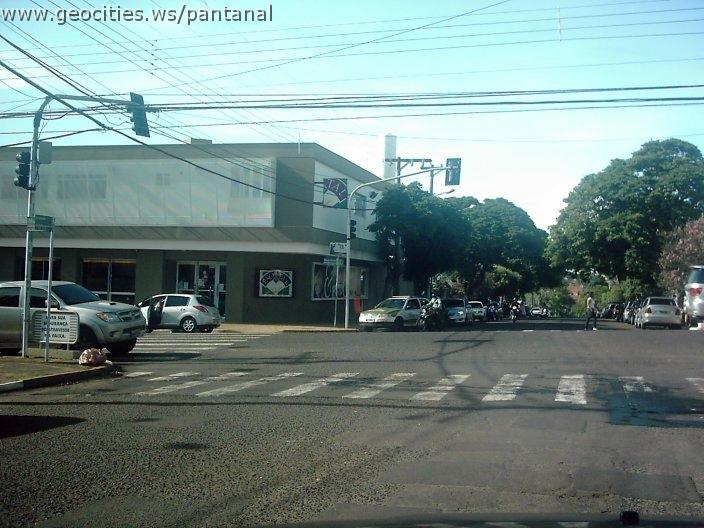 2105_geocities_ws_pantanal.jpg