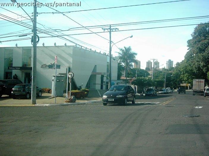 2120_geocities_ws_pantanal.jpg
