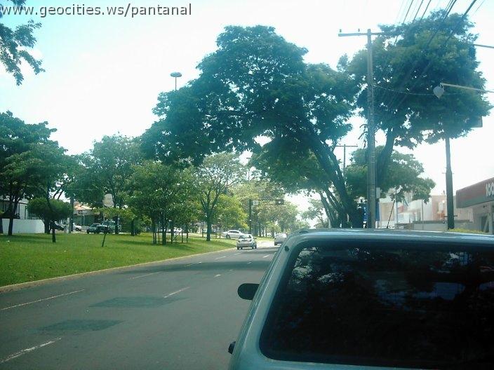 2122_geocities_ws_pantanal.jpg