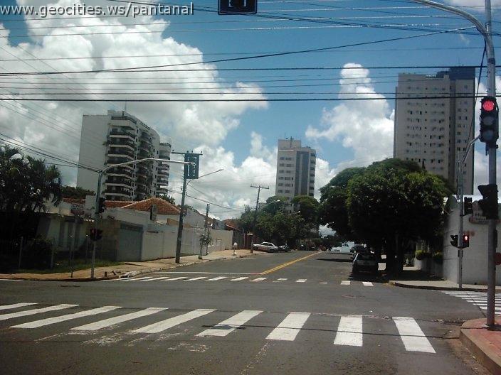 2133_geocities_ws_pantanal.jpg