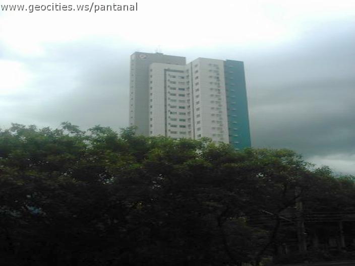 2134_geocities_ws_pantanal.jpg