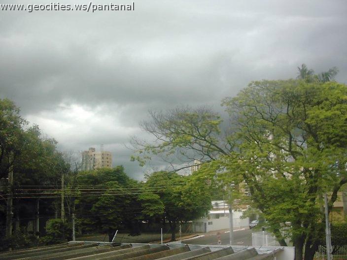2135_geocities_ws_pantanal.jpg