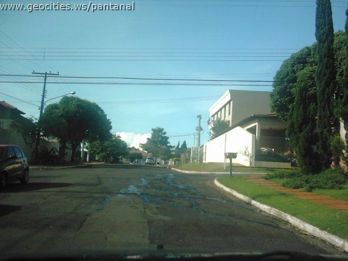 2142_geocities_ws_pantanal.jpg