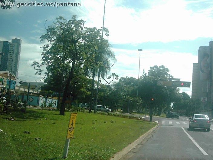 2144_geocities_ws_pantanal.jpg