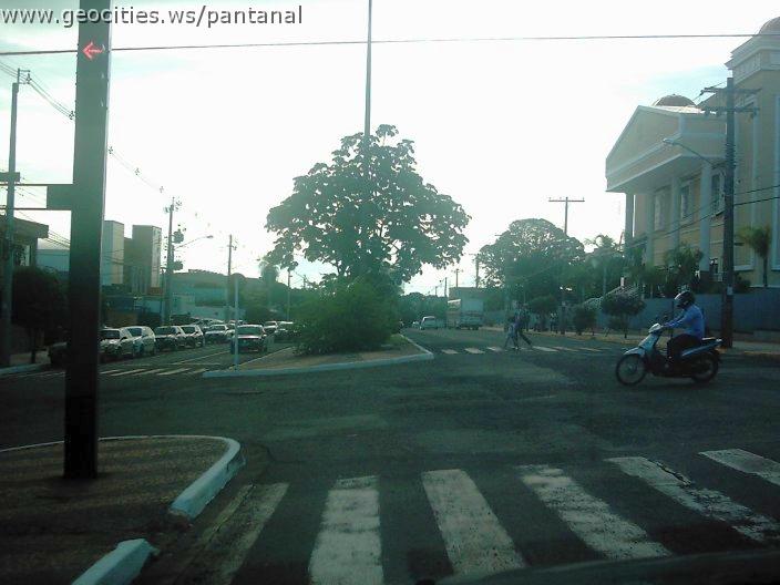 2151_geocities_ws_pantanal.jpg