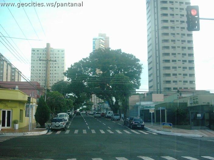 2155_geocities_ws_pantanal.jpg