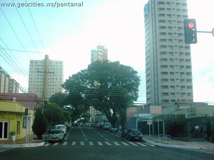 2156_geocities_ws_pantanal.jpg