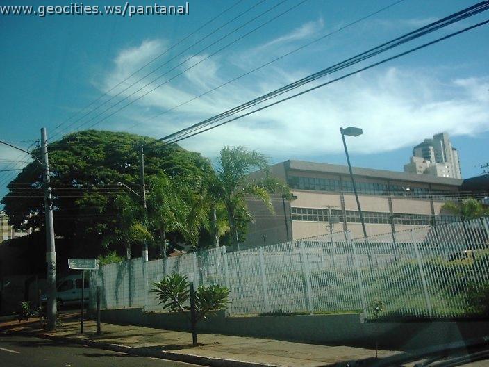 2172_geocities_ws_pantanal.jpg