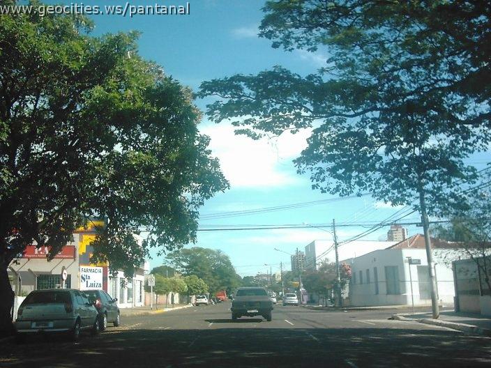 2174_geocities_ws_pantanal.jpg