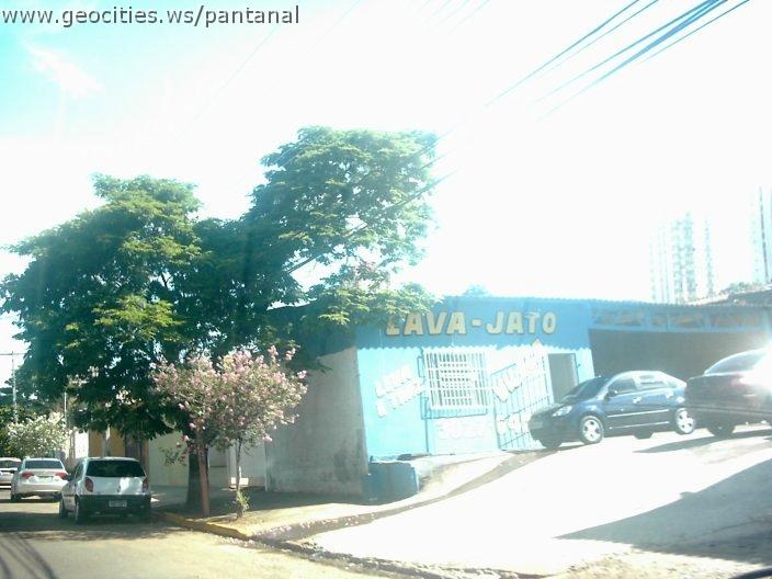 2176_geocities_ws_pantanal.jpg
