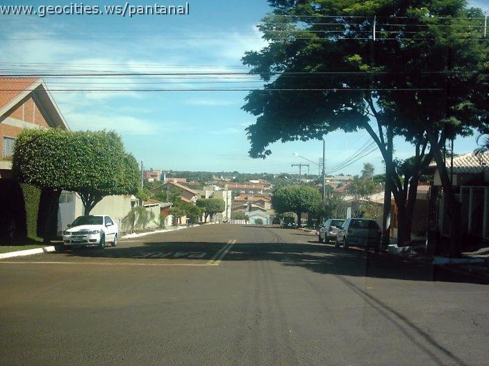 2180_geocities_ws_pantanal.jpg