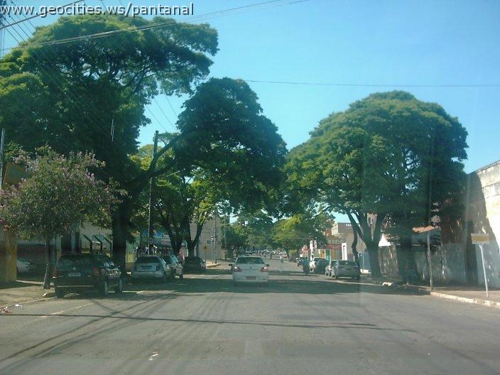 2184_geocities_ws_pantanal.jpg