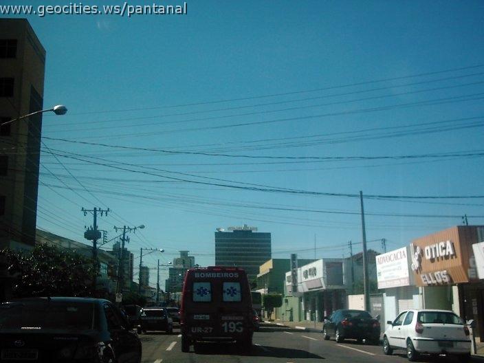 2191_geocities_ws_pantanal.jpg