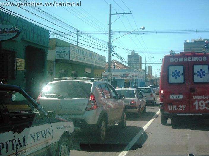 2195_geocities_ws_pantanal.jpg